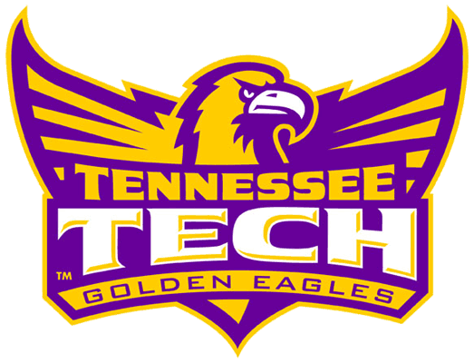 Tennessee Tech Golden Eagles 2006-Pres Alternate Logo v5 DIY iron on transfer (heat transfer)